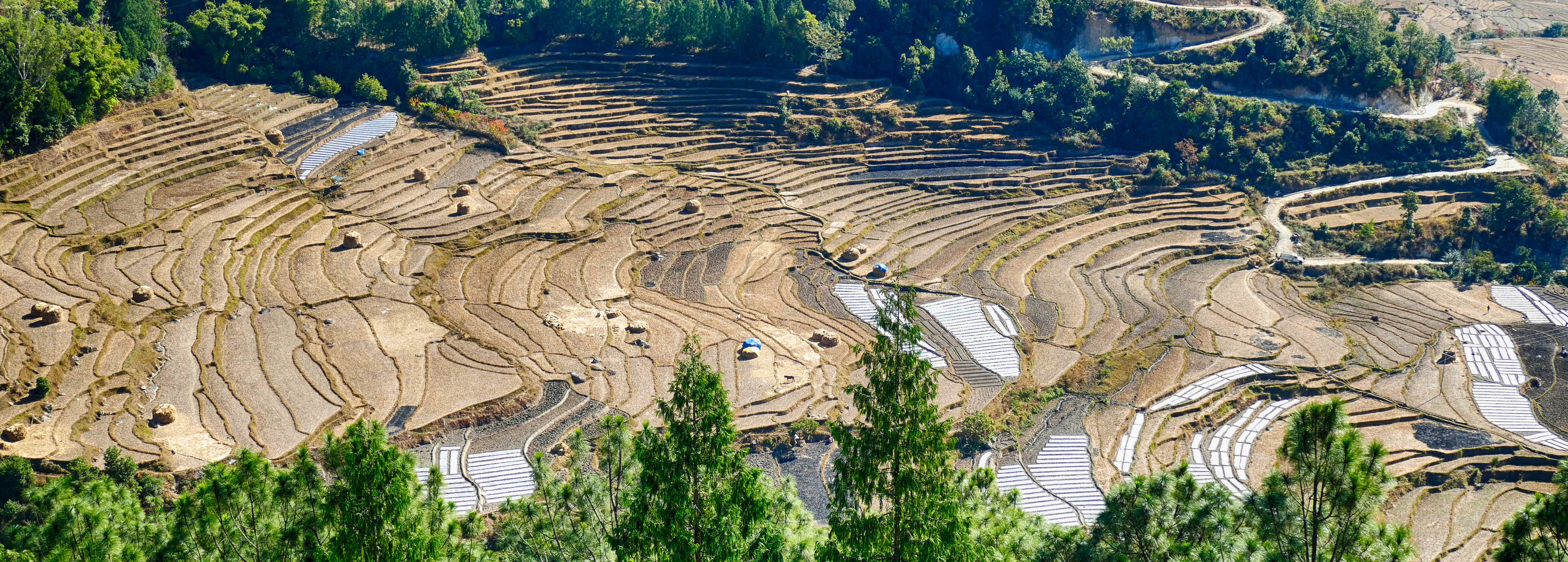 Nepal